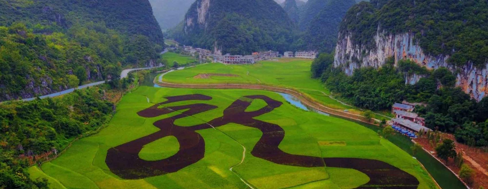 Dragon palace
