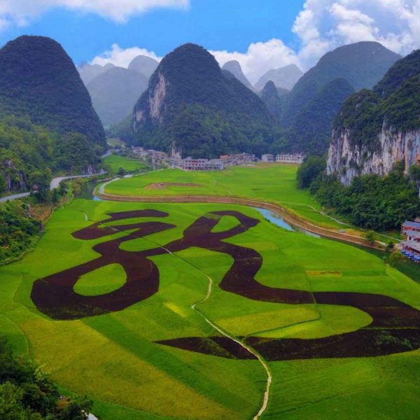 Dragon palace
