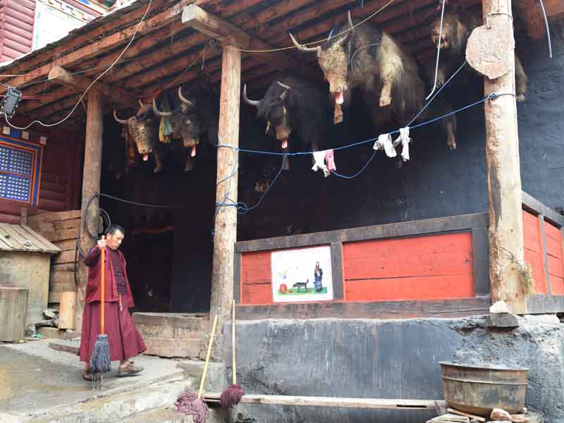 Dzongsar corner