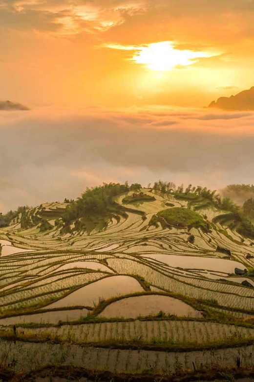 Yuanyang Terraced