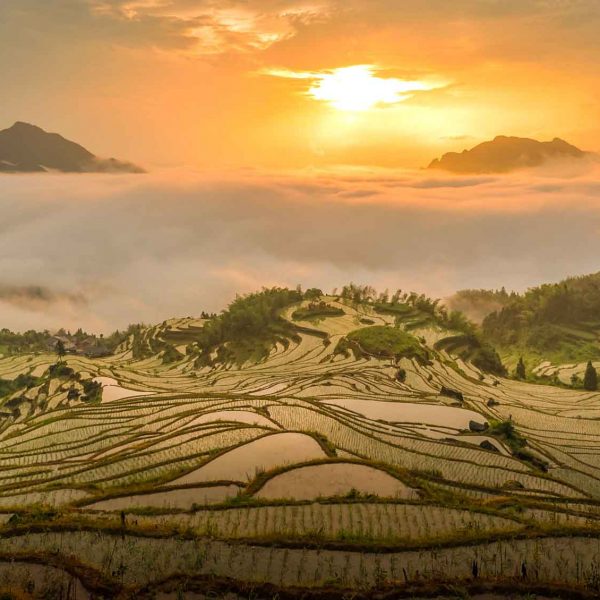 Yuanyang Terraced