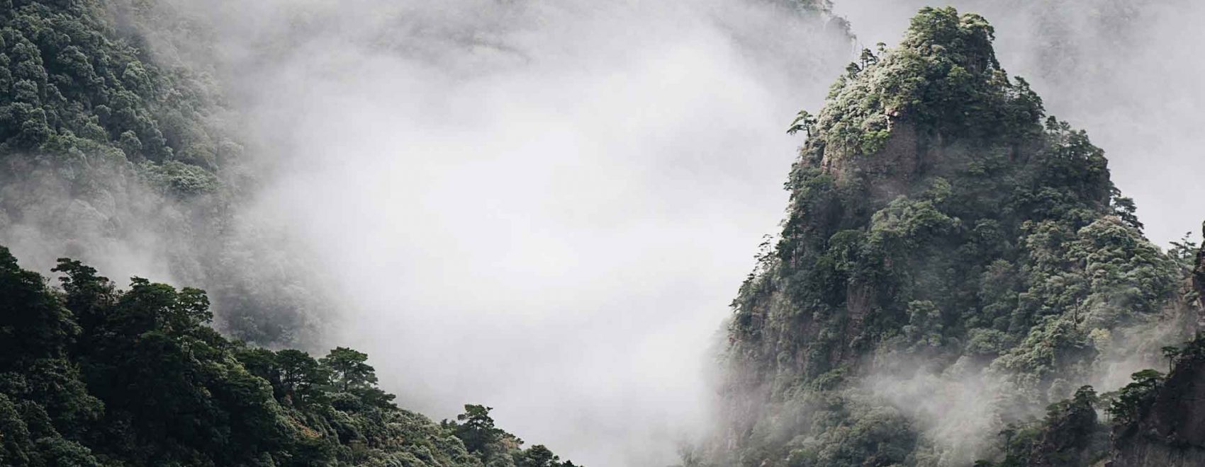 fanjing-mountain