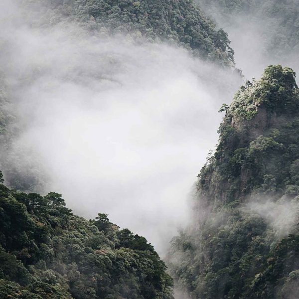 fanjing-mountain