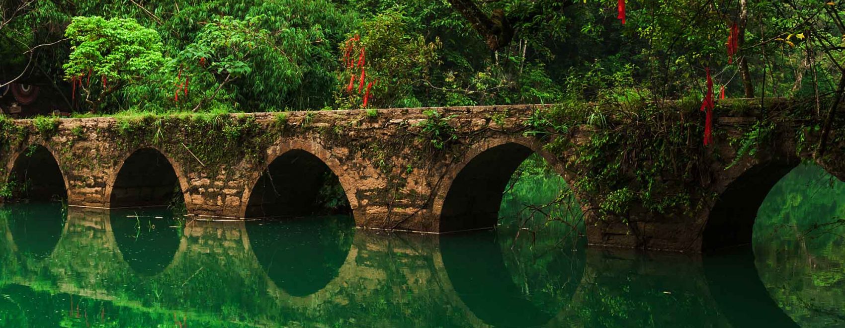 Zhangjiang Scenic Area