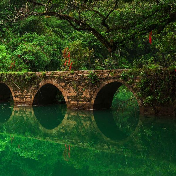 Zhangjiang Scenic Area