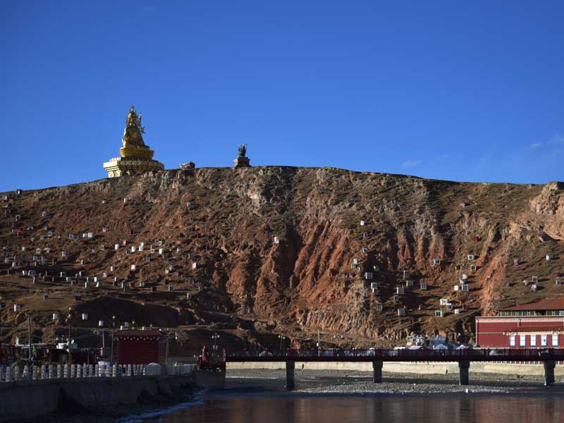 the buddha statue